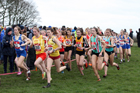 Intermediate girls 2019 New Balance English Schools Cross Country Champs, Temple Newsam, Leeds. Photo:  David T. Hewitson/Sports for All Pics